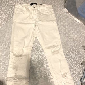 Hollister Low Rise Jegging